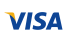 visa icon