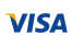 visa icon